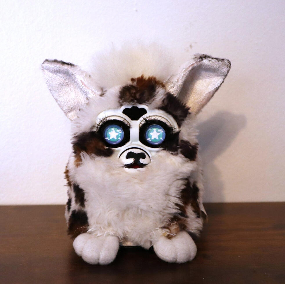 "Dusk" Custom Witch's Cat